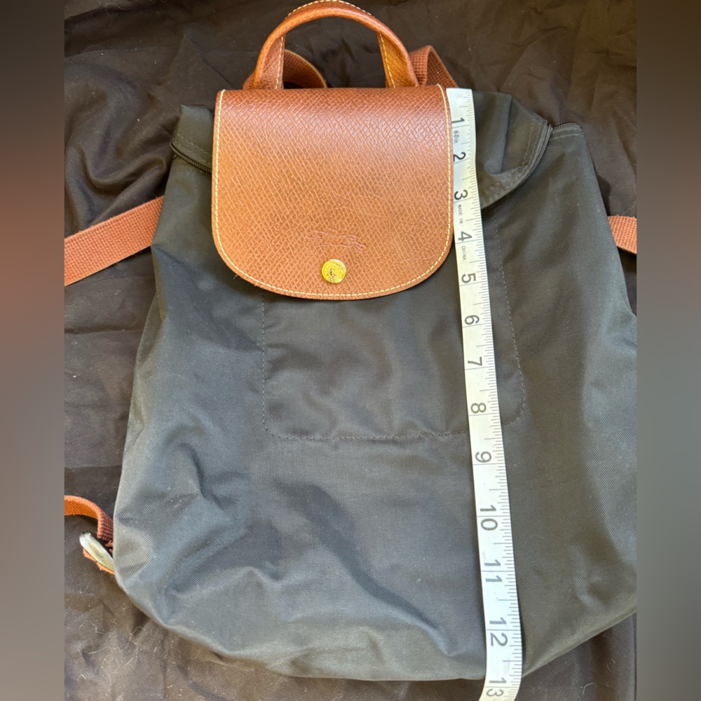 Longchamp Bacpack